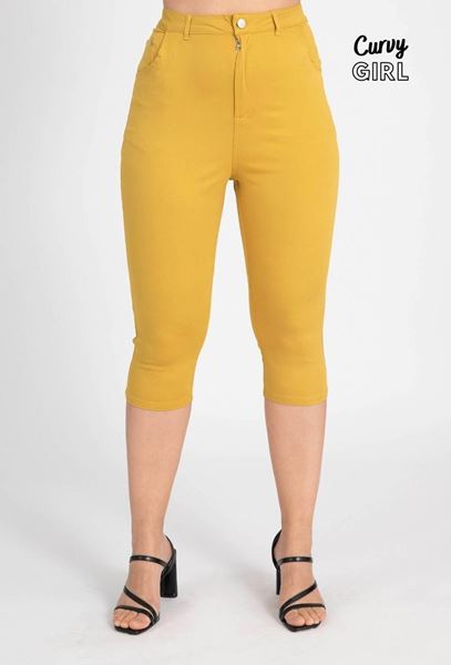 Picture of PLUS SIZE HIGHLY STRETCH  CAPRI